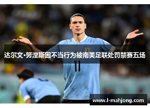 达尔文·努涅斯因不当行为被南美足联处罚禁赛五场